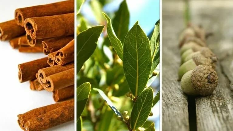 Co przynosi szczęście w finansach: 7 skutecznych sposobów